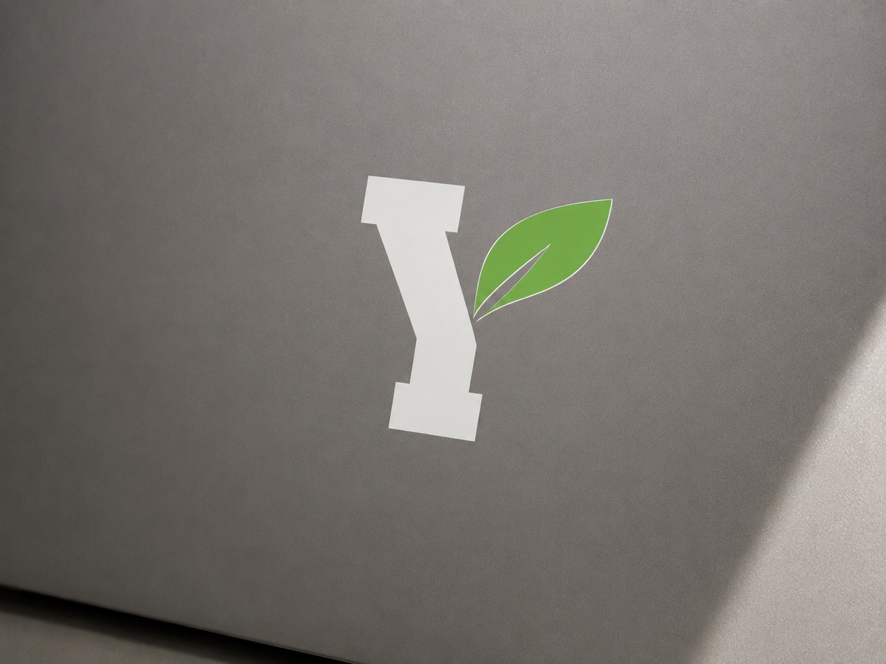 【数量限定予約販売商品】Y ロゴカッティングステッカー②