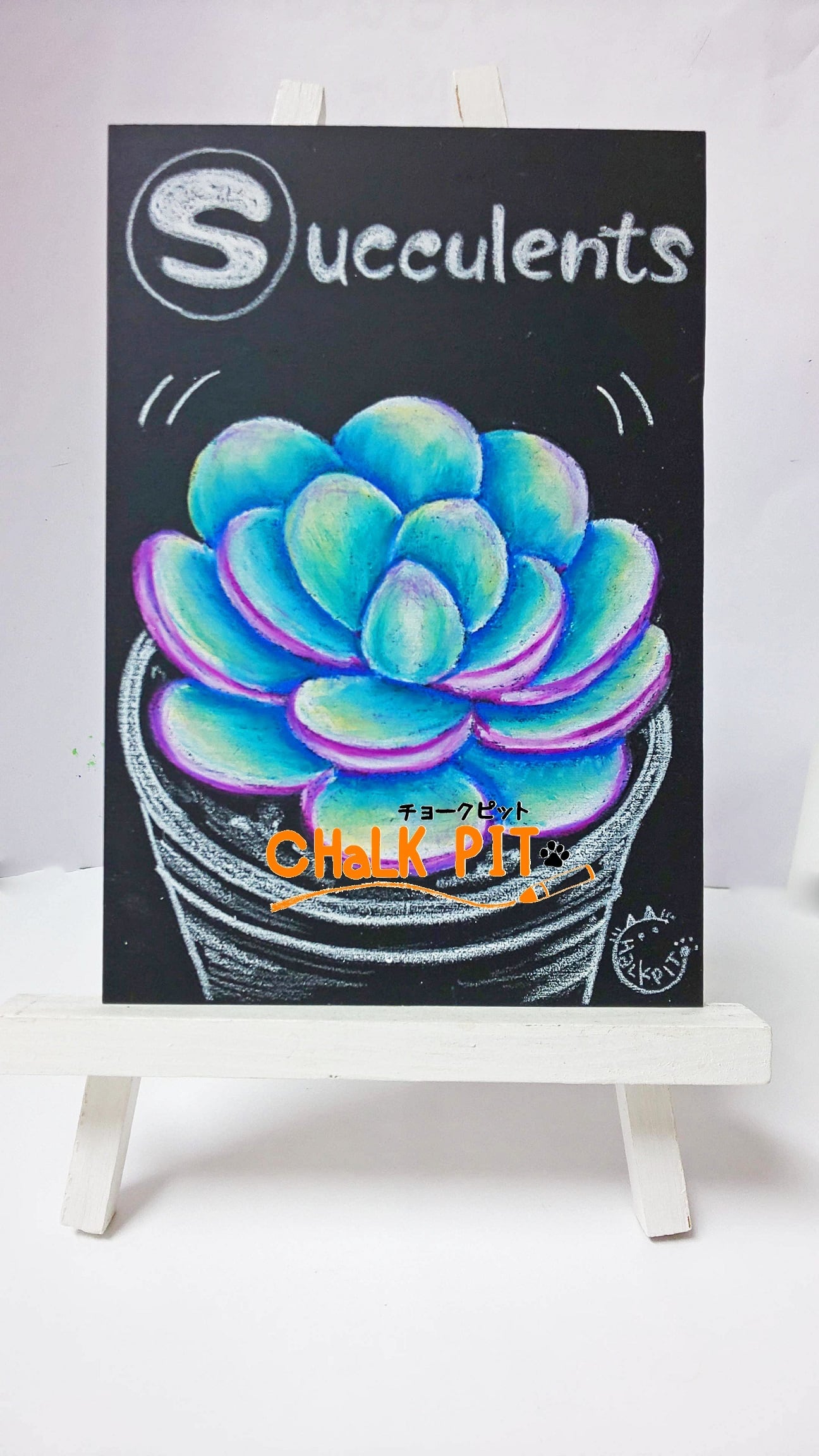 チョークアートキット】アルファベットカルタ・S多肉植物 | チョーク