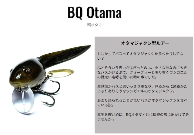 ﾆｼﾈ BQｵﾀﾏ