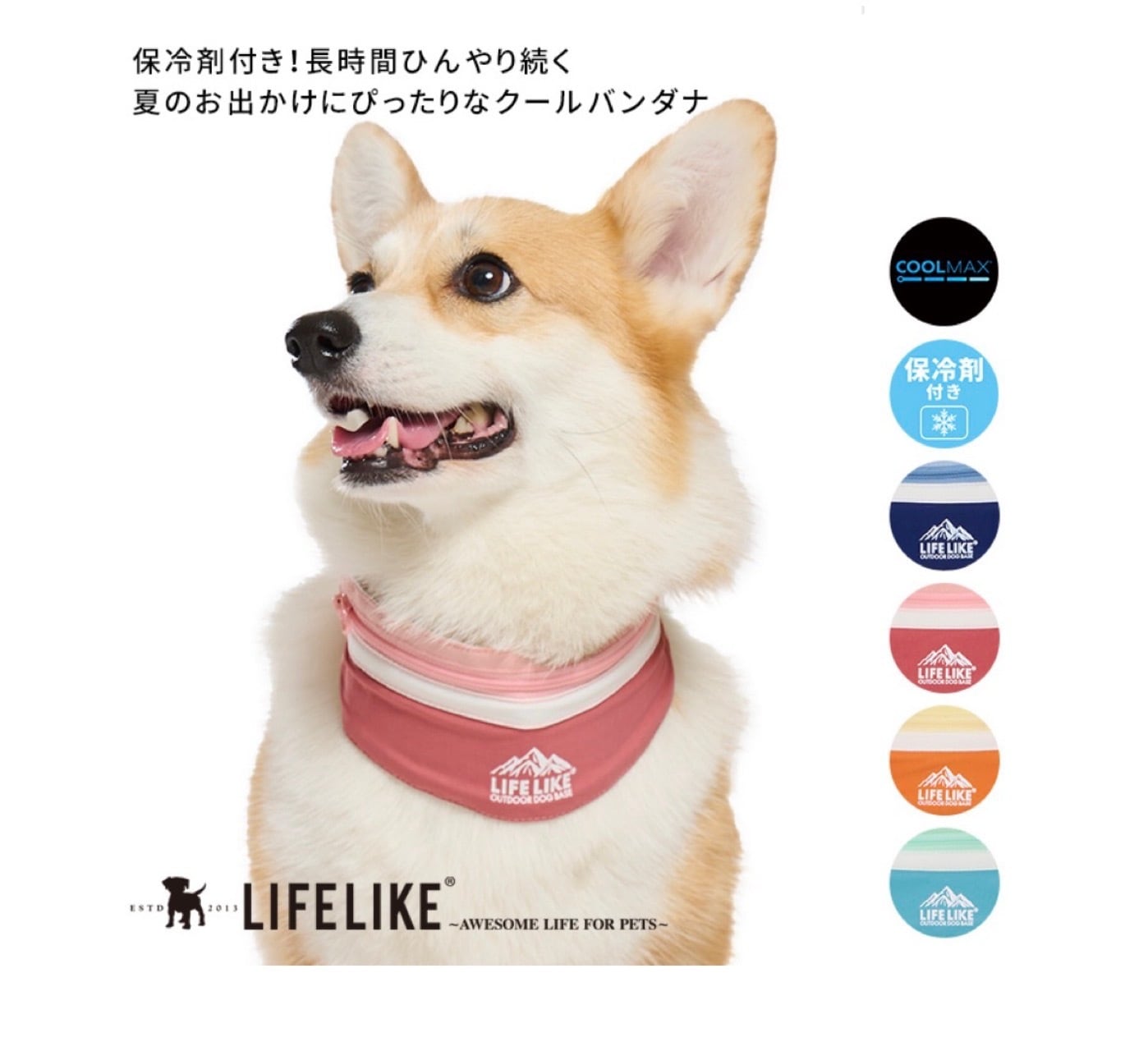ショップルアナ