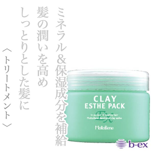 ビーエックス クレイエステ パックEX 300g--