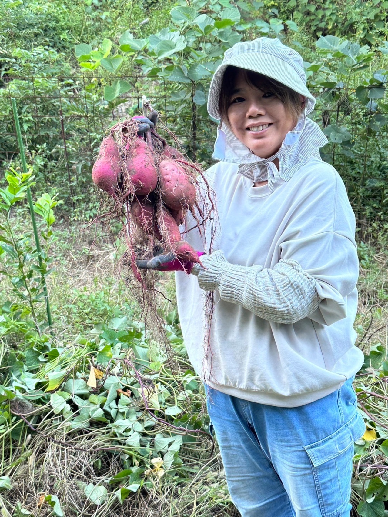【農薬化学肥料不使用】一カ月熟成ねっとり紅はるか・皮までおいしい 5キロ