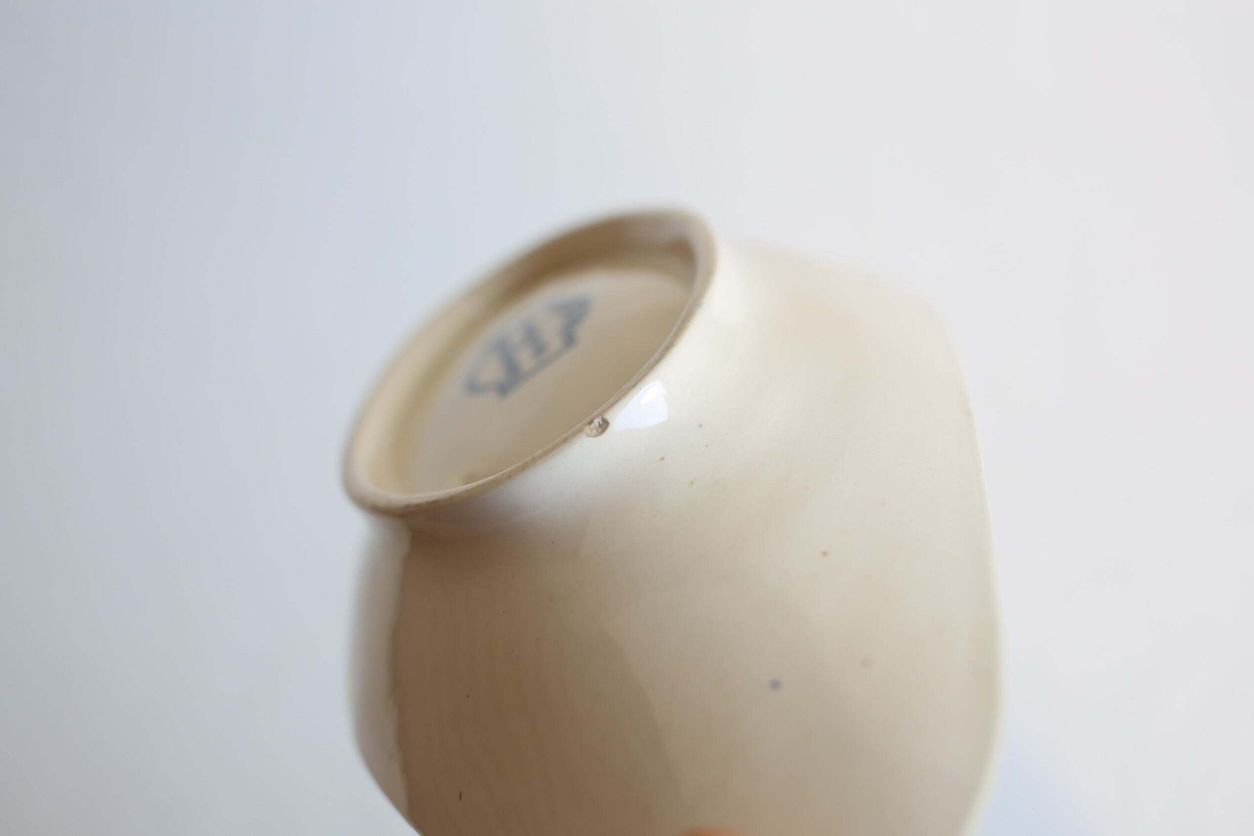 フランス アンティーク SARREGUEMINES サルグミンヌ ラヴィエ 『FAVORI