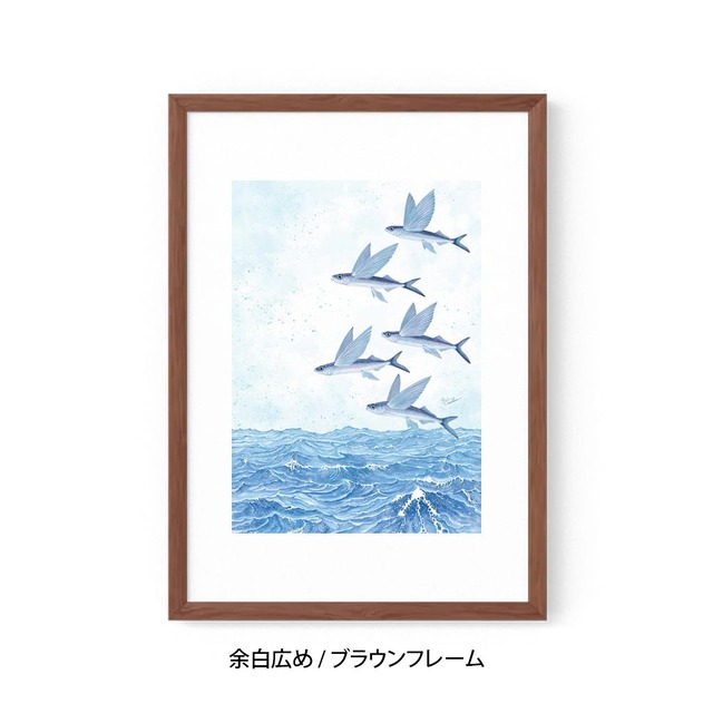 A3｜魚翔海図（ぎょしょうかいず）（フレームあり）