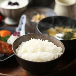 【R7年度】農家直送 新潟県弥彦村産 雪国コシヒカリ 玄米10kg 贈り物に◎ ご家庭用に◎