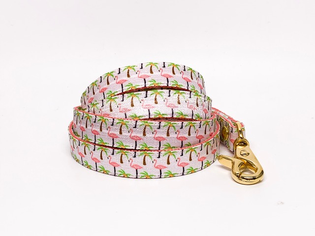 Leash(gray&pineapple)