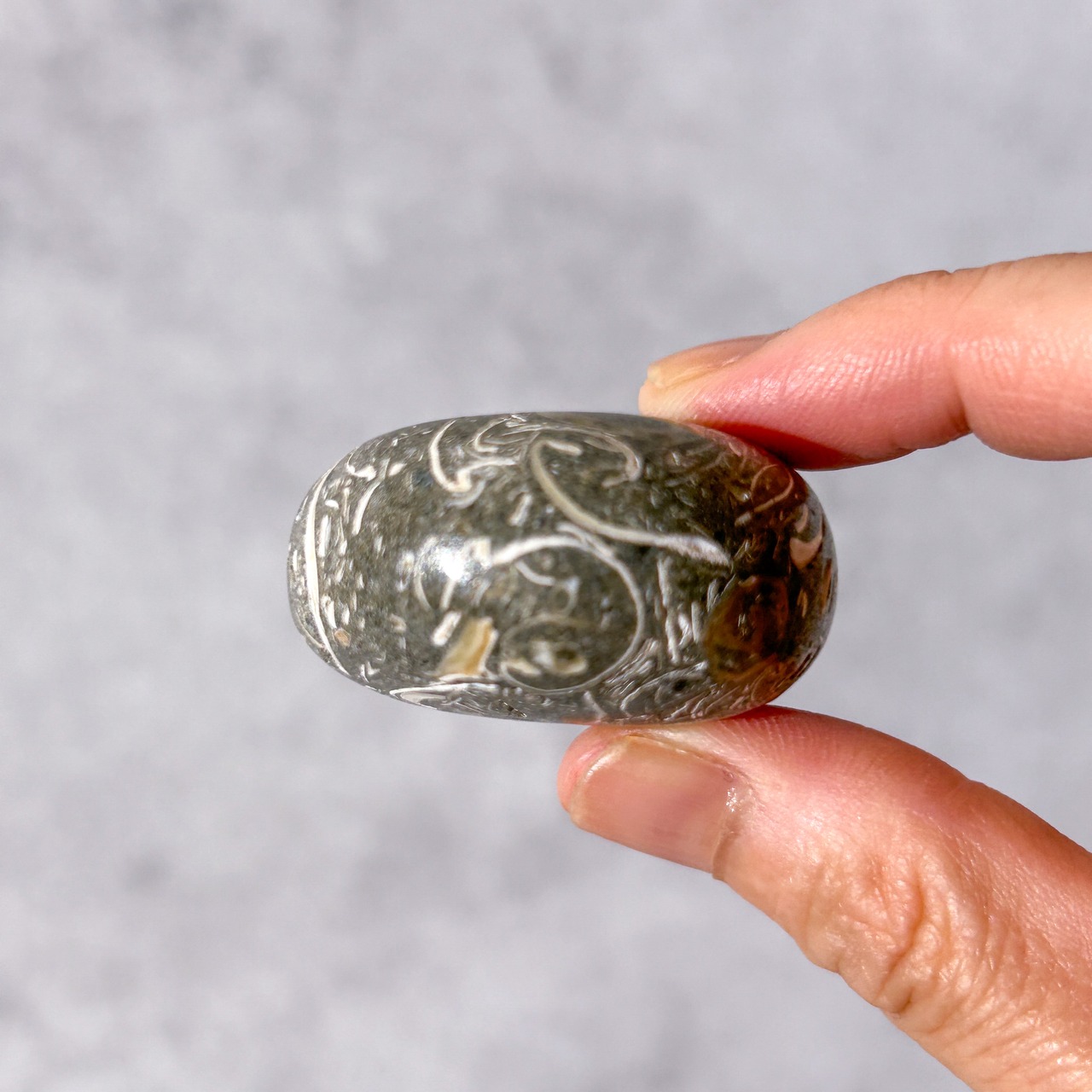 ツリテラアゲート 02 パーム * Turitella Agate * 天然石