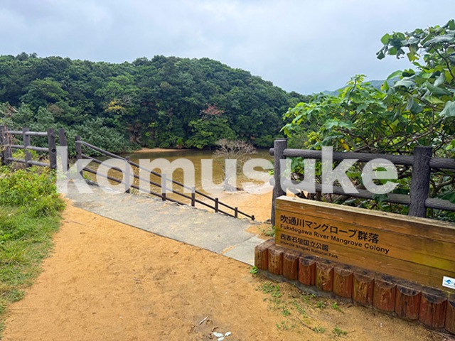 komusuke-select-124_海・川・滝_石垣島吹通川のマングローブ林