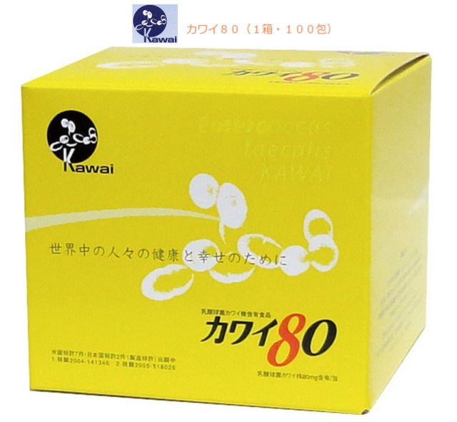 カワイ８０（１箱・１００包）乳酸球菌カワイ株 | ヘルスワン