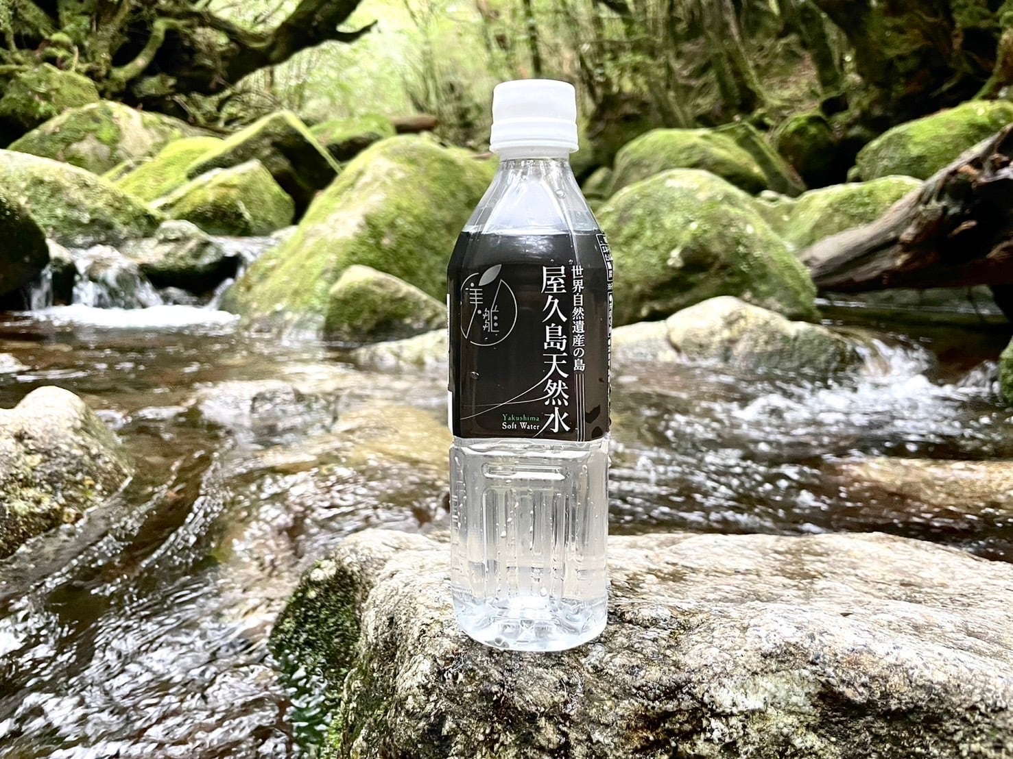 お得な定期便】屋久島天然水1箱（500ml×24本入り） | 「hana-re