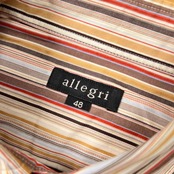 allegri アレグリ マルチストライプ 半袖シャツ サイズ 48(L) /三陽商会