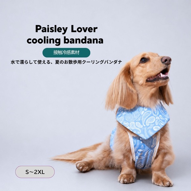 【puppygallery公式】Paisley Lover cooling bandana blue Ｓ-2XL