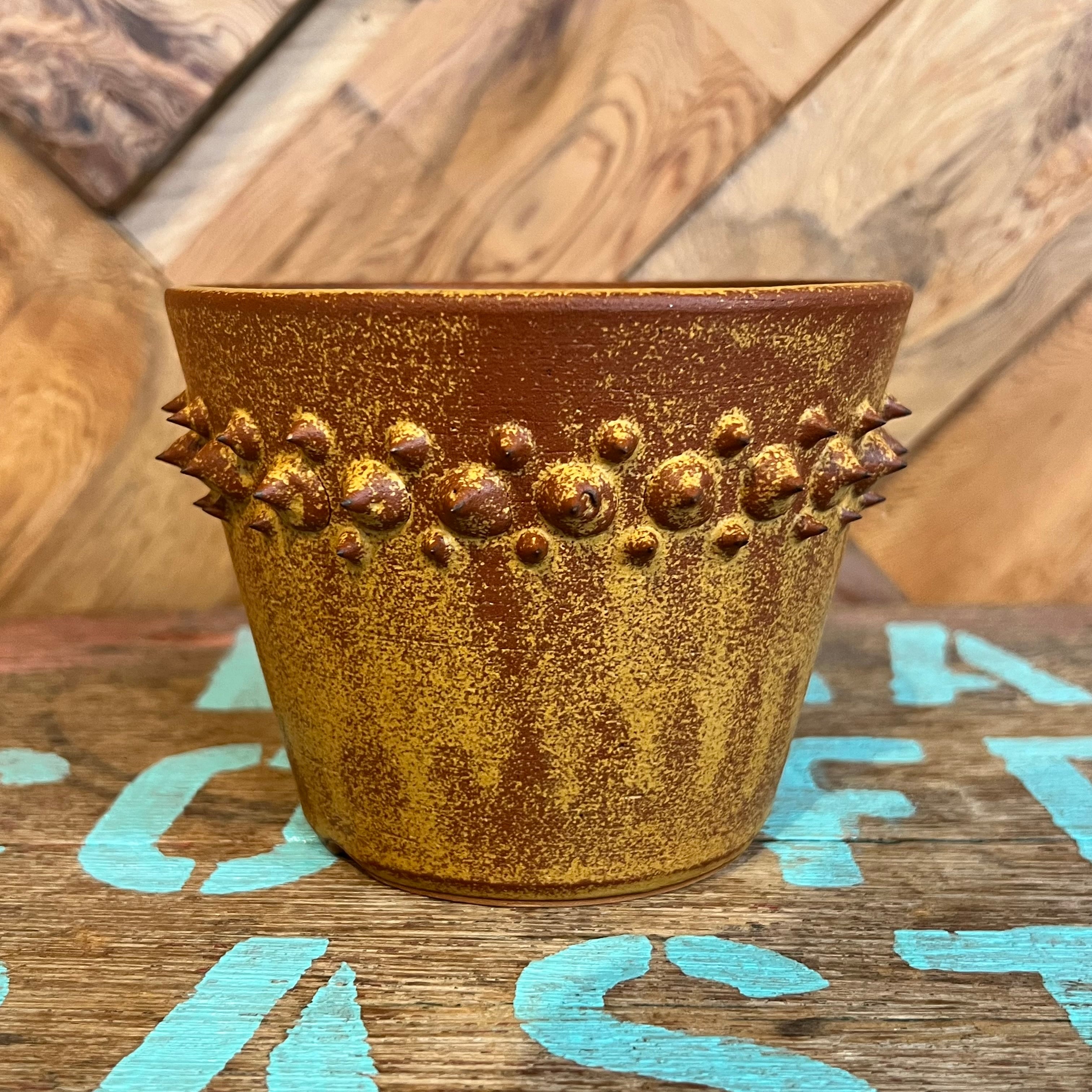 希少 未来薩摩 圭介窯 トゲモノ 08301 | KOBE AGAVE SHOP