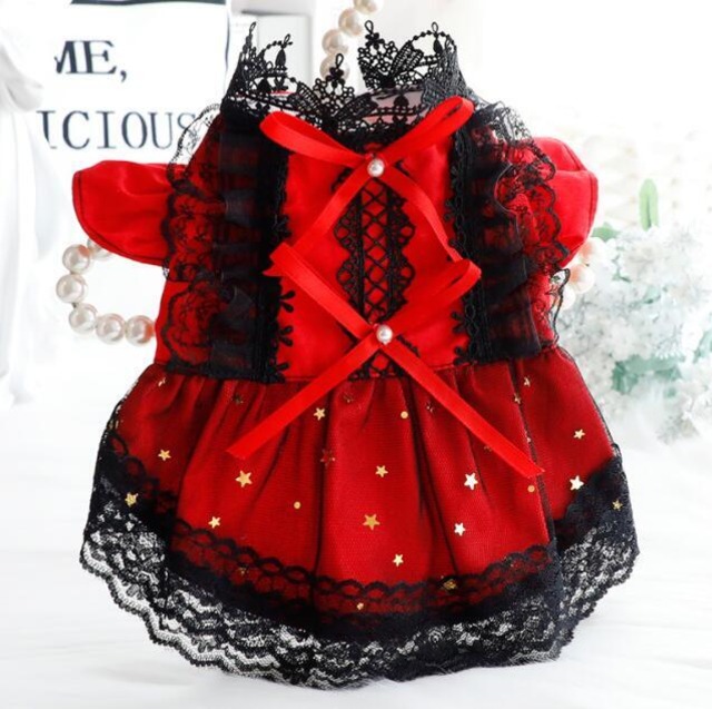 おすすめ☞《予約》№3101236 マジカルデビルドレス