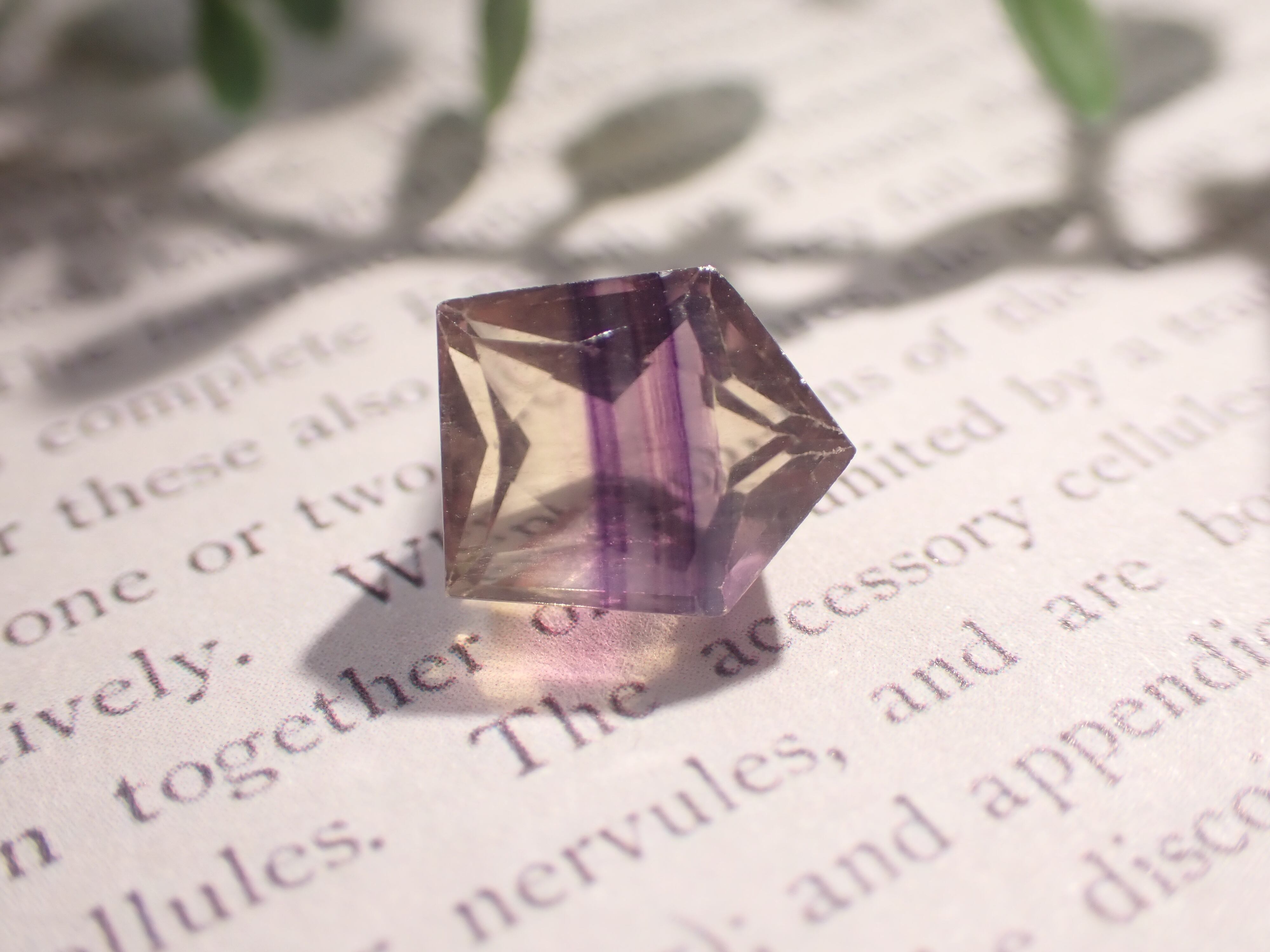 バイカラーフローライト 3.74ct [C13‐772] | differencee(ディファ