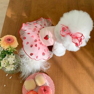【PET】全2種類ふんわり苺&花模様刺繍キャミワンピース