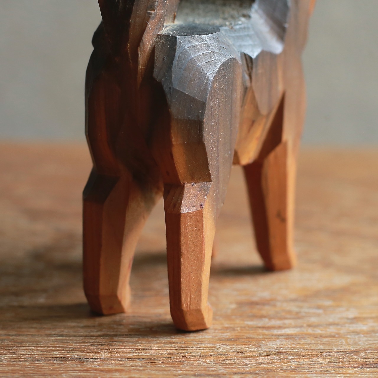 凛々しい立ち姿で、熱い視線を送る犬 1