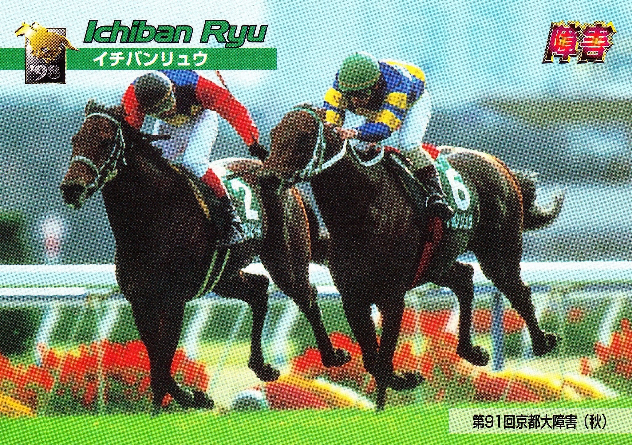 第118回中山大障害(春)  ポレール 単勝馬券 ボレール：第118回 農林水産省賞典中山大障害(春)「サラブレッドカード