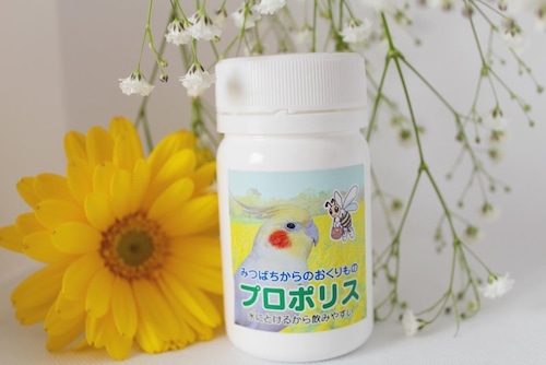 みつばちからのおくりものプロポリス(40g)チョコボB　菜の花畑のチョコボ＆アルビー　