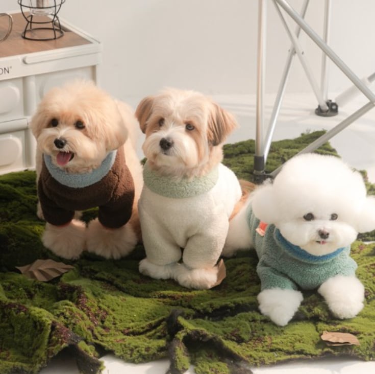 予約【BITEME】Winter Palette Fleece T-shirt (3colors)