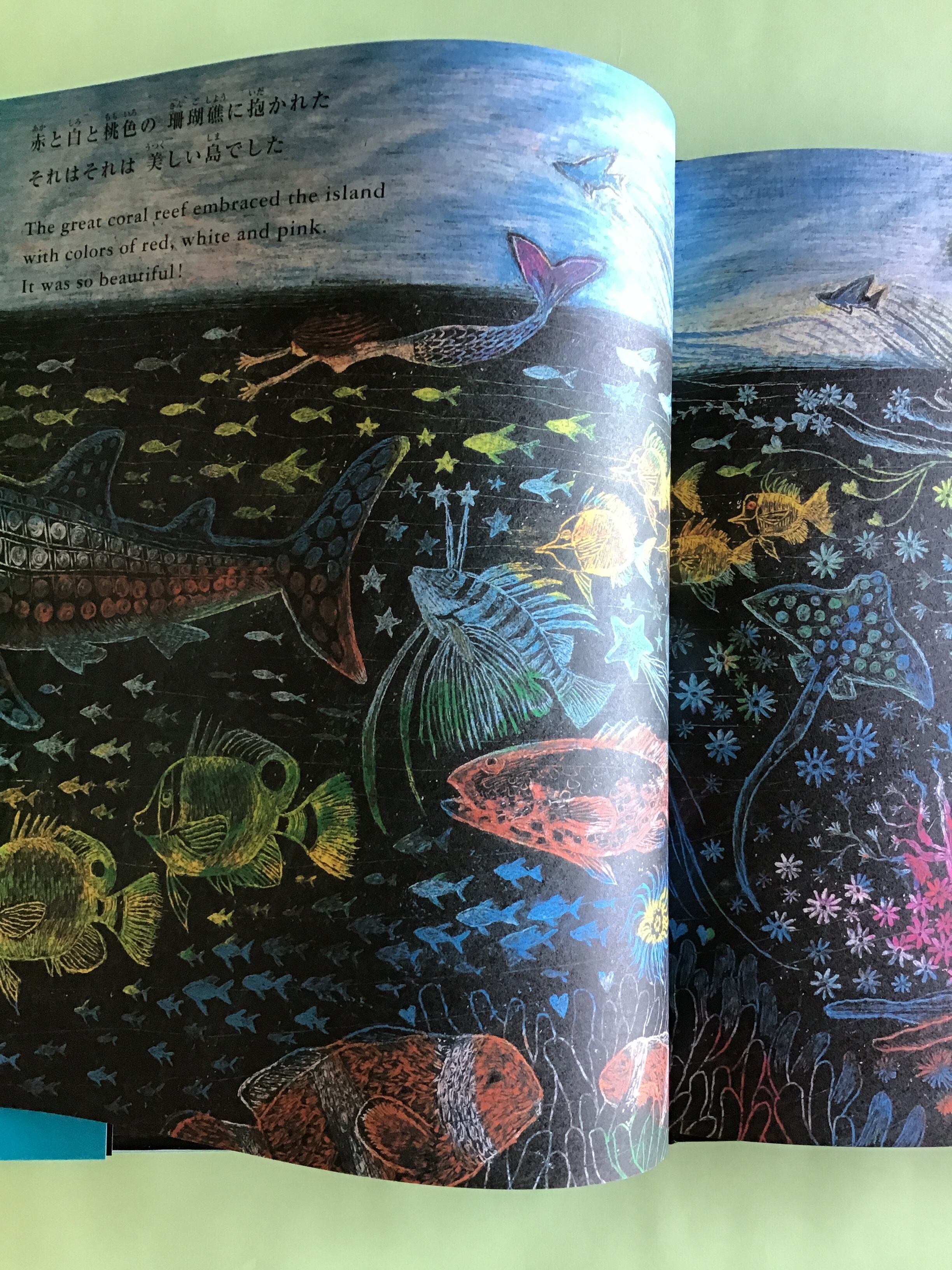 Cocco 直筆サイン入り 南の島の星の砂 絵本 沖縄こどもの国 南の島の星の砂 Star Sands in the South Ocean 文 絵 訳 Cocco 河出