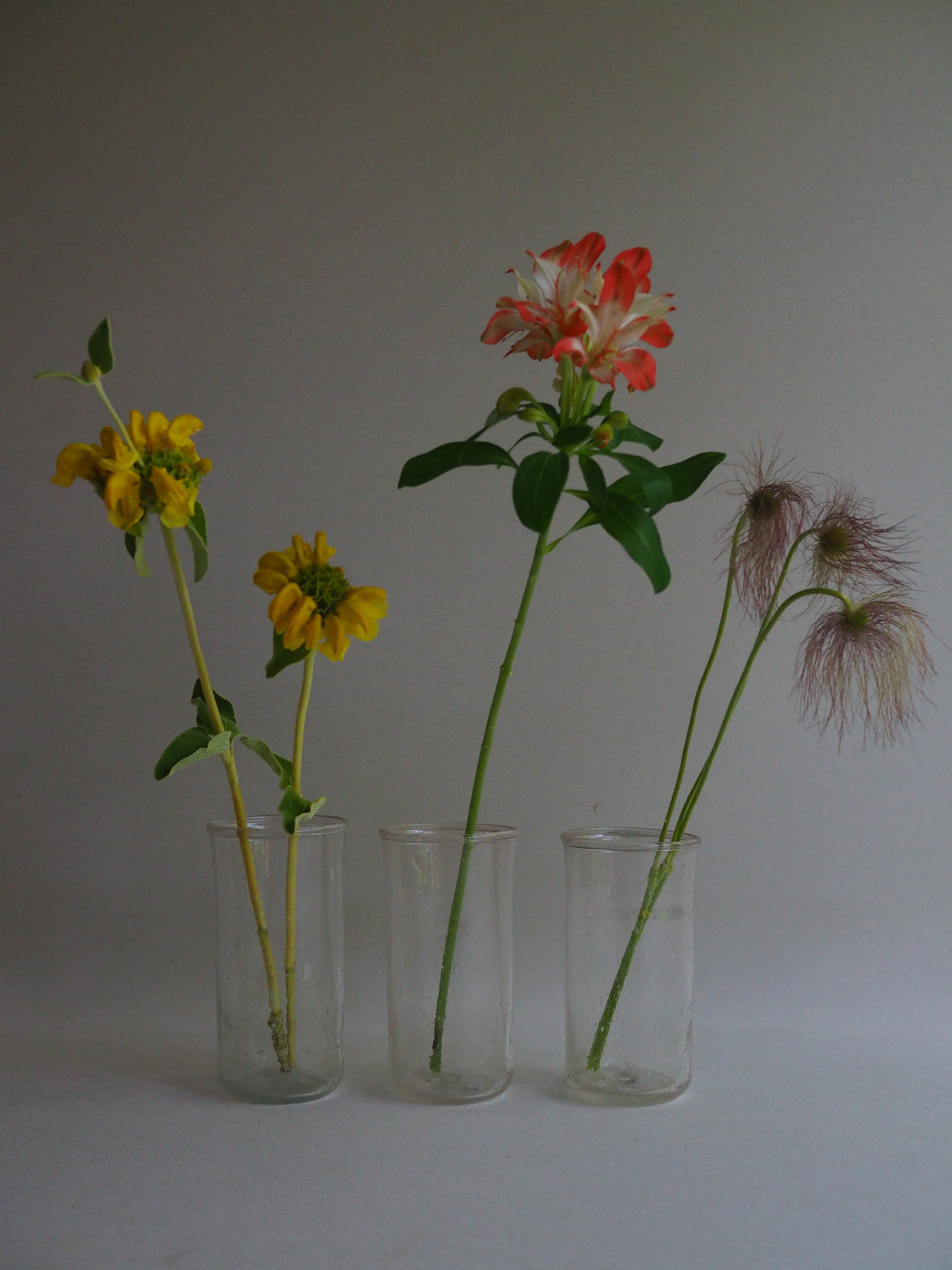 インドのグラス(Clear) | 花屋ぼたん インド ムガールグラス ガラス