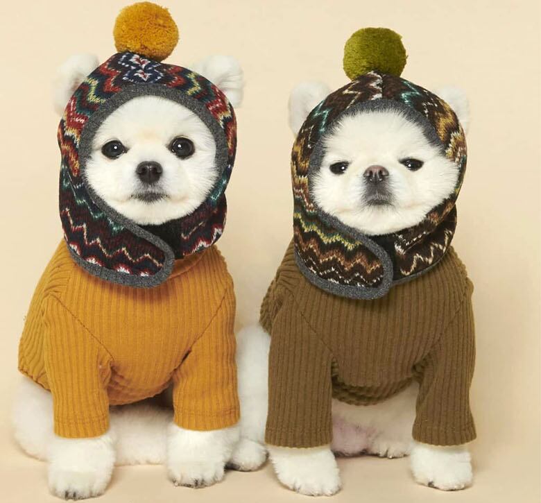 【SALE】  pong pong knit hat 2color  /  犬服 ドッグウェア 犬の服 犬用 アクセサリー ペット用品 猫 小型犬 中型犬