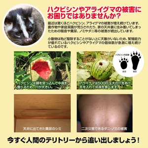ハクビシンなぜ逃げるニュー改訂版　屋外タイプ業務・メンテナンス用20枚セット ハクビシン 撃退 グッズ ハクビシン 忌避剤