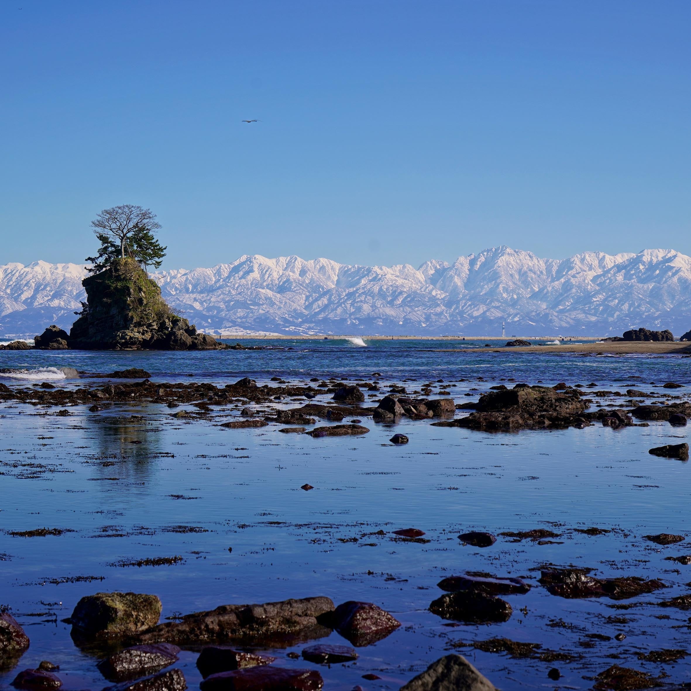 【黒部ダム】富山百景パーカー【雨晴海岸】