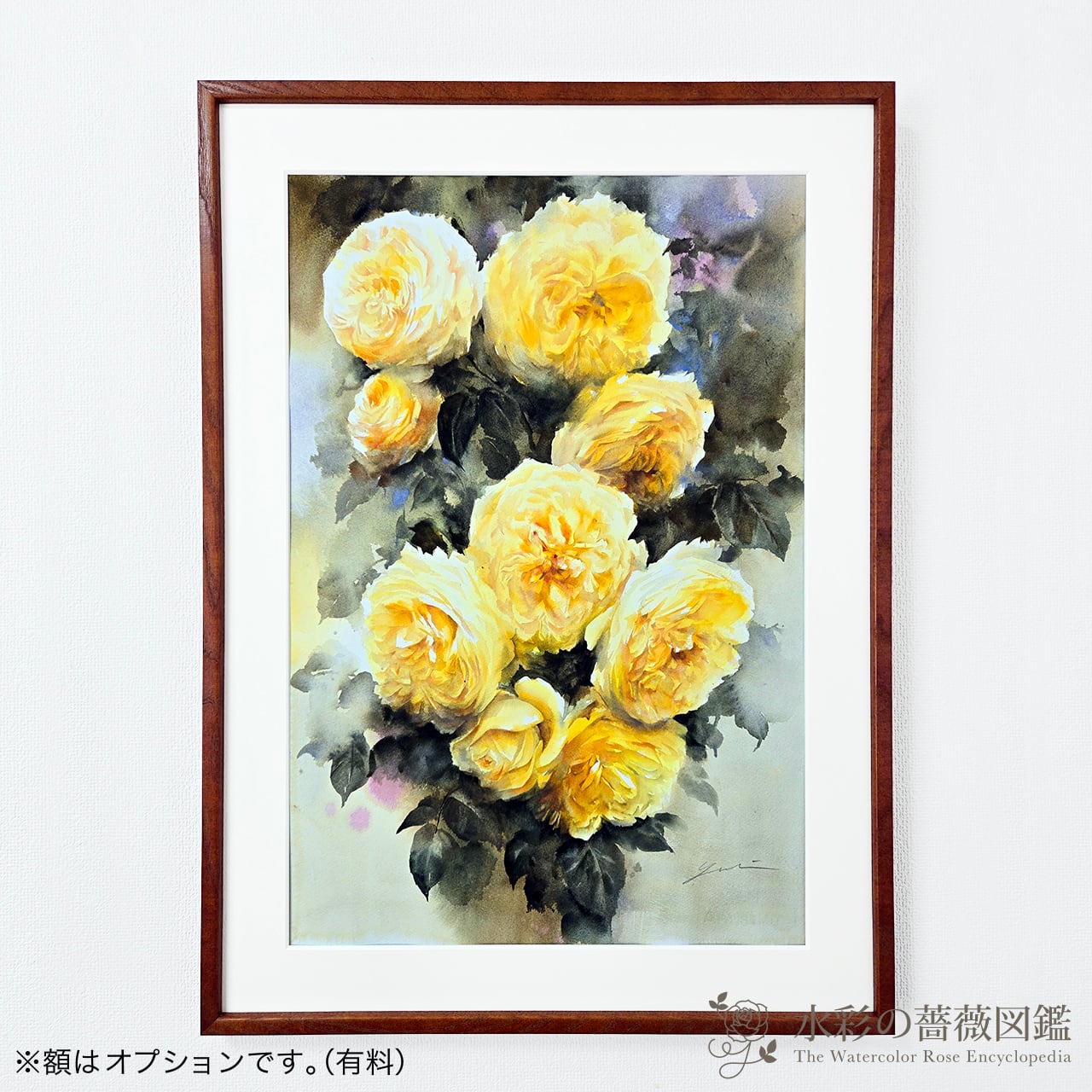 水彩の薔薇図鑑 ONLINE STORE