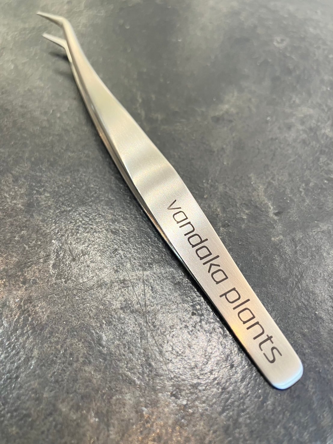 【maccoビカクシダセット】 ビカクシダ胞子培養ピンセット TWEEZERS FOR SPORING | vandaka