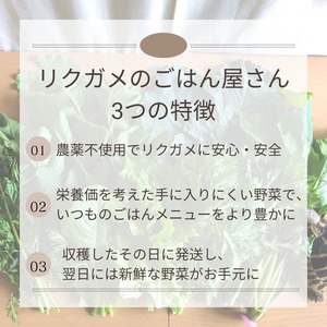 ＜クール便・火曜日発送＞【小さいサイズ】季節のお野菜セット