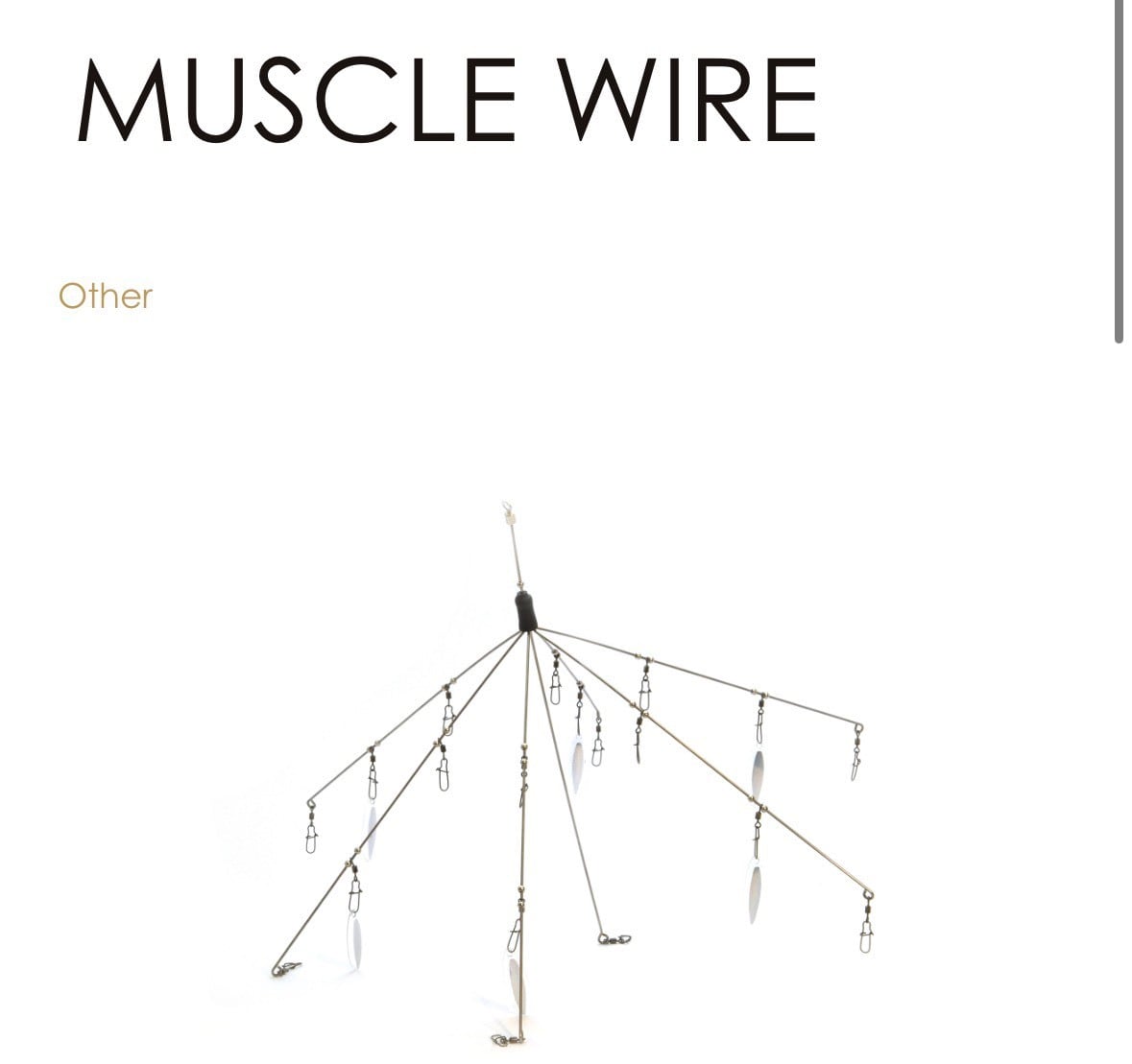 MUSCLE WIRE/RAIDJAPAN | TRIBE NETSTORE