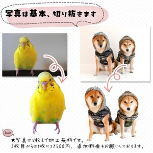 ペットの写真で作るマグカップ｜オフィスワークのパパへ！進学･就職するお子さんへ！｜誕生日プレゼントとして大人気♪