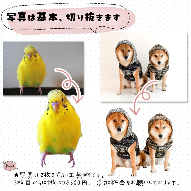 ペットの写真で作るマグカップ｜オフィスワークのパパへ！進学･就職するお子さんへ！｜誕生日プレゼントとして大人気♪