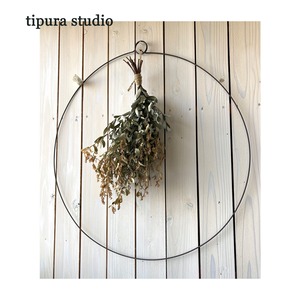tipura studio / クリプトフック サークル