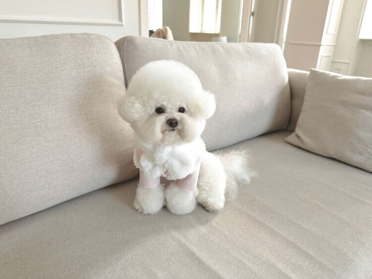 即納【chouchou&chourr】SAILOR WARMER KNIT (pink)