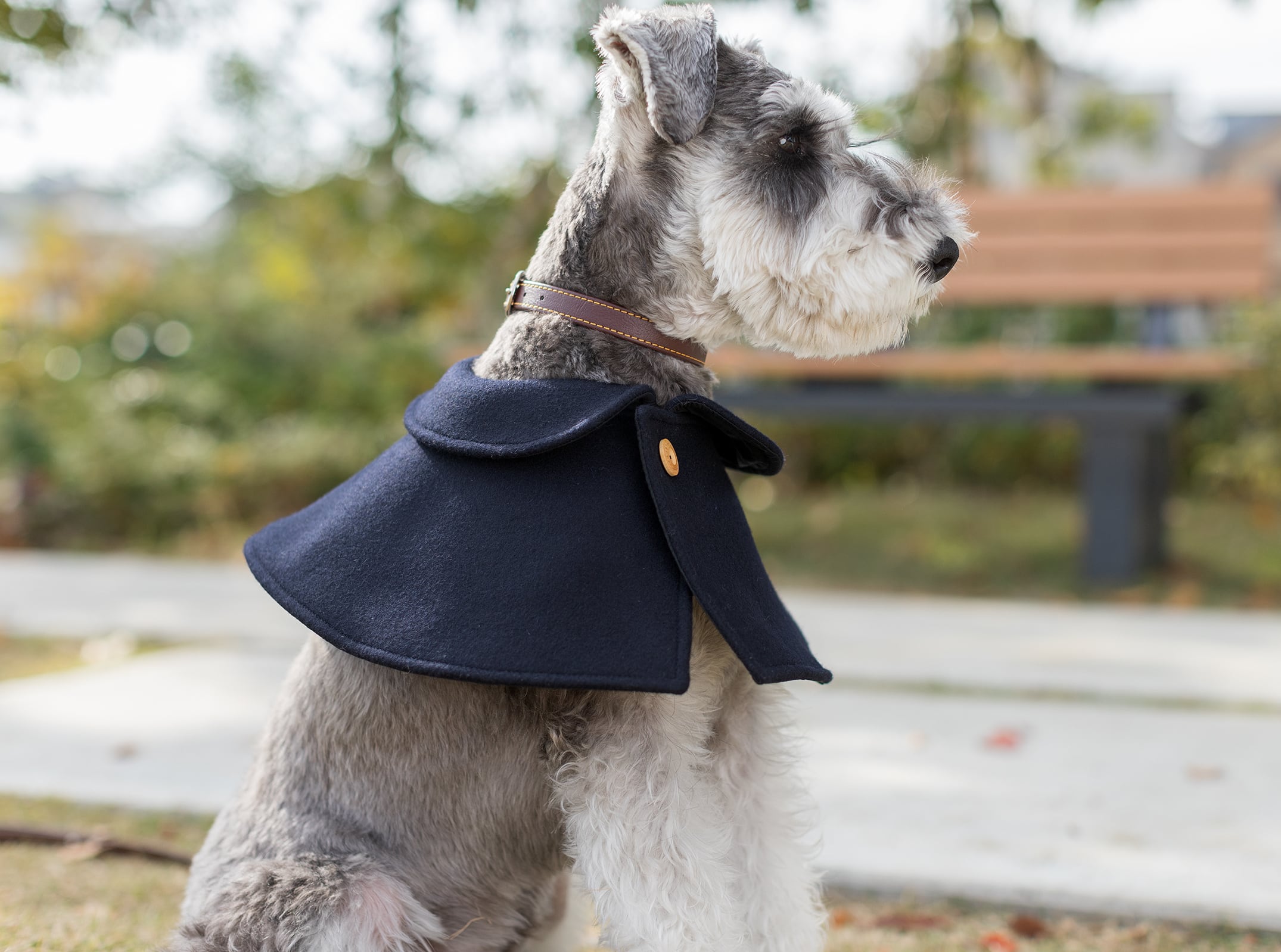 65c55a6b7c78cd1aa6c15a50150ec0