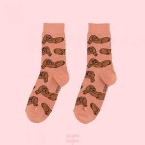 «sold out» Coucou Suzette Cocker Socks