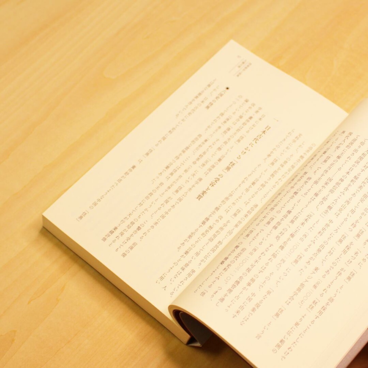 怪異学講義 ～王権・信仰・いとなみ～ / 東アジア恠異学会[編] - 2