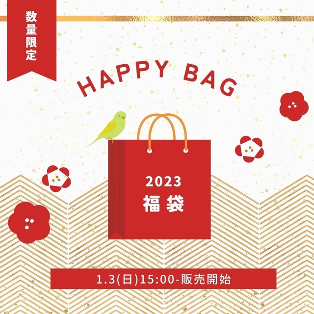 2023 HAPPY BAG