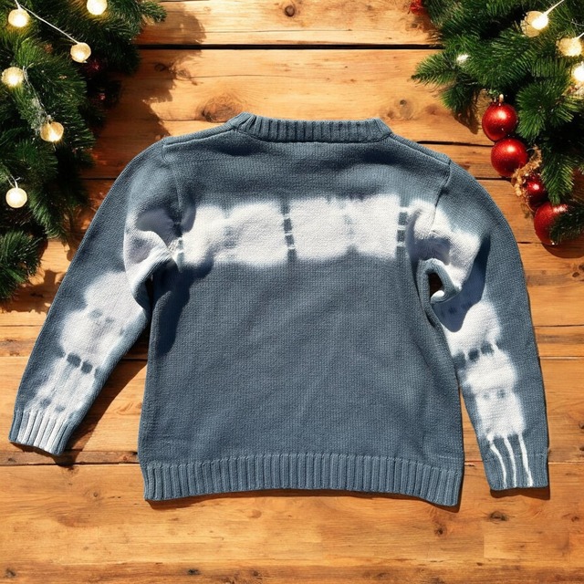 【KIDS】Disney cotton knit size:110〜120
