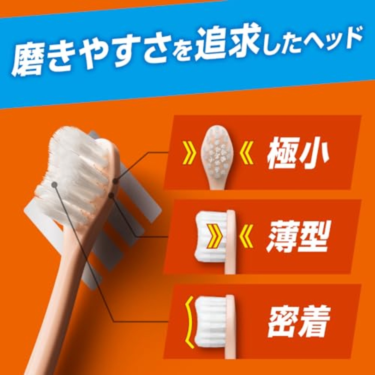 ピュオーラ36500ハブラシ １本１本磨き ふつう