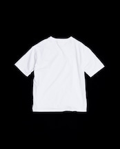 ANACHRONORM / DAMAGED EMB S/S T-S