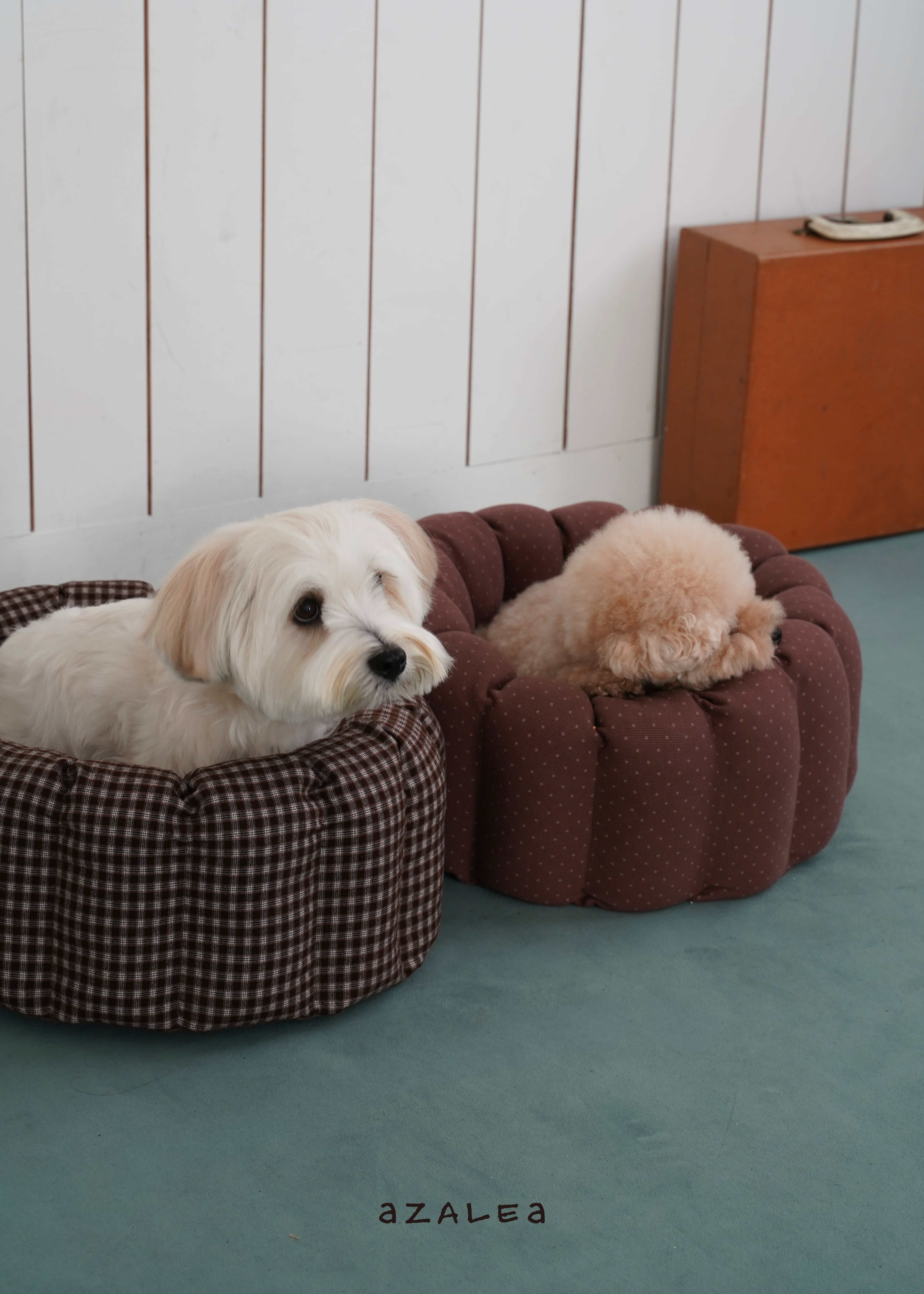 独占販売/予約【azalea X ohdibs】Check X Dot reversible Canelé Cushion
