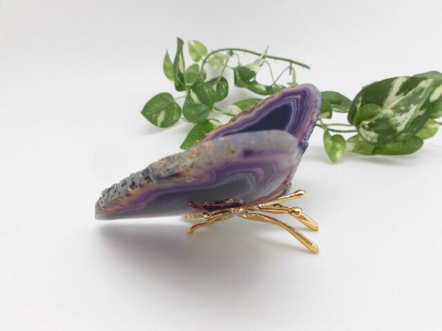 【瑪瑙】　ゴージャス蝶々　no.1