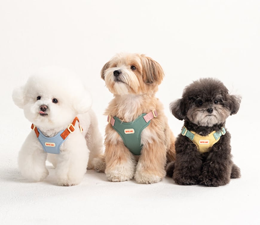 予約【BITEME】Comfort Harness v2 (3 types)