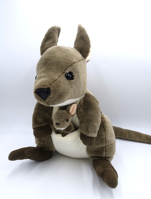 パルマワラビー（XLサイズ）