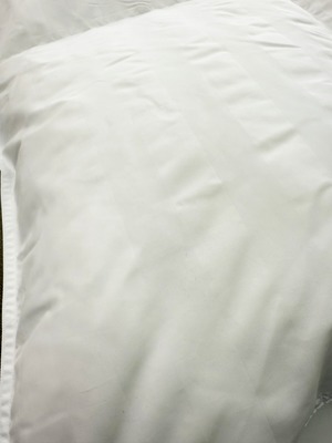 ホスタ【ダブル】【ホワイト】【ベージュ】【DP330】