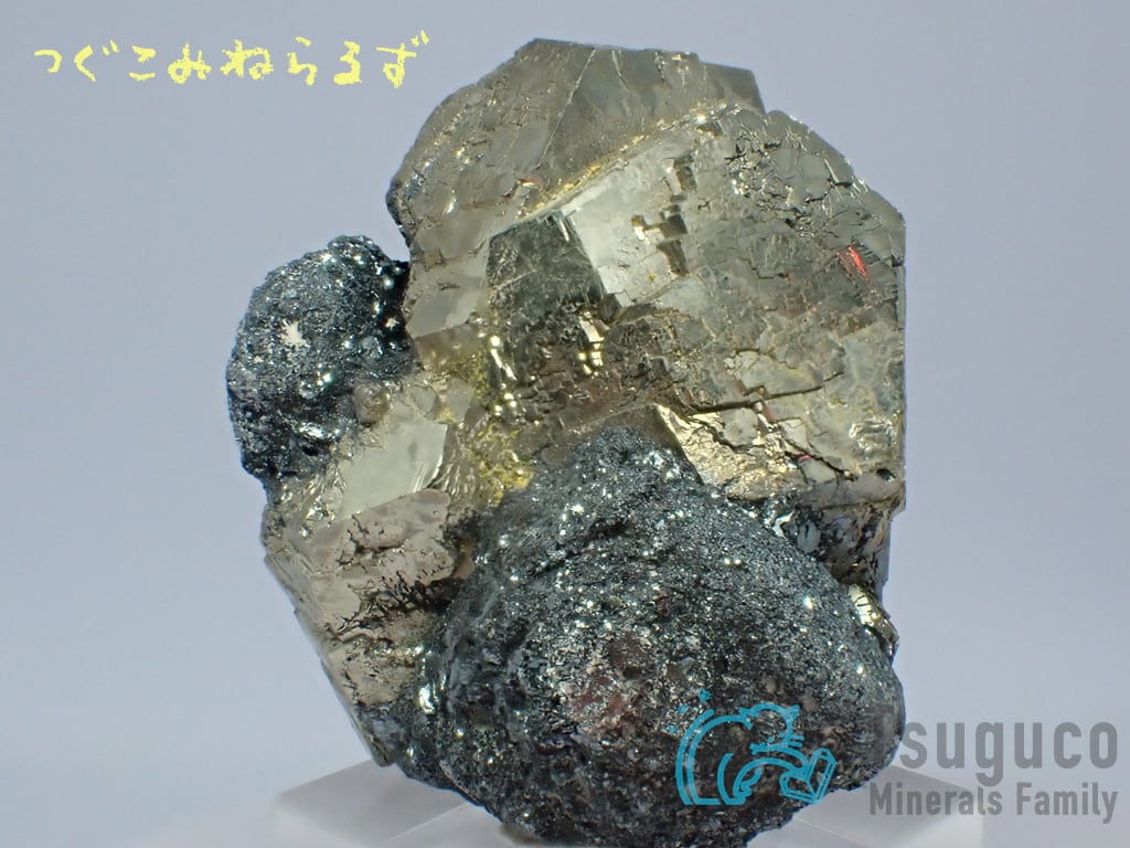 パイライト 黄鉄鉱 Pyrite イタリア TM-0042
